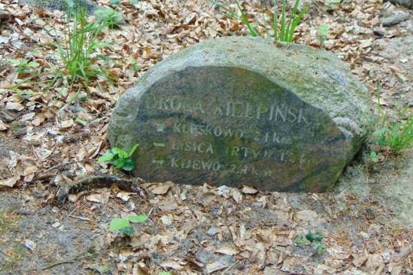 kamienny drogowskaz w Puszczy Bukowej