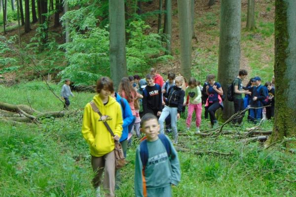 Las, młodzież wędruje leśnym traktem