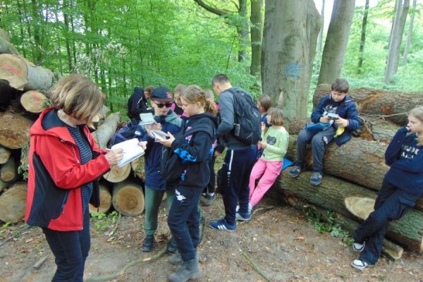 las, kłody ściętych drzew, dzieci odpoczywają