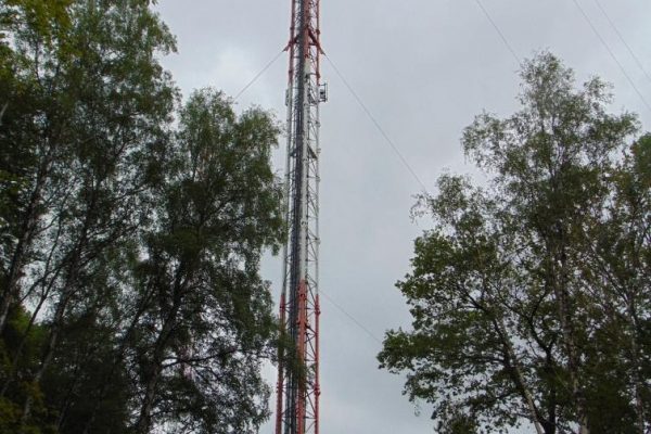 wieża radiowo – telewizyjna na Lisicy, drzewa, dzieci