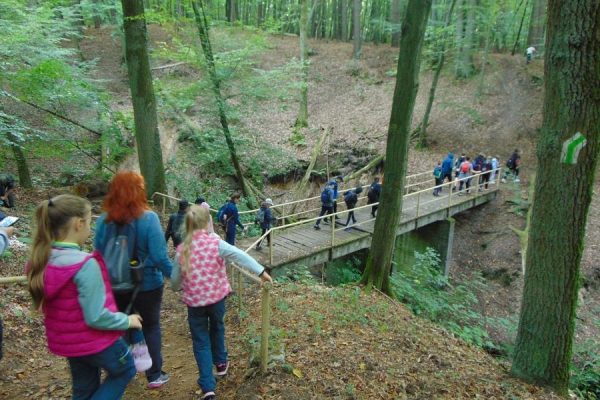 grupa turystów idzie przez las