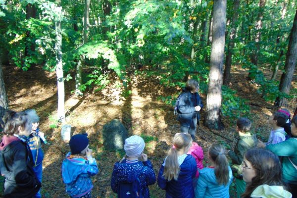 las, droga leśna i młodzież
