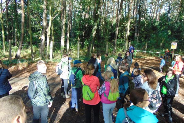 las, droga leśna i młodzież