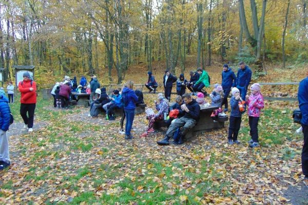 las, złamane drzewo, na powalonych pniach siedzi młodzież