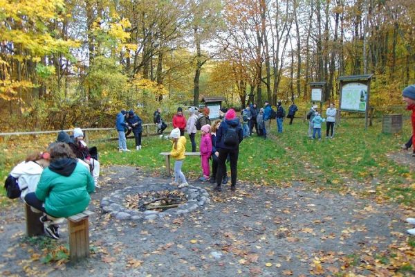 las, polana, grupa młodzieży odpoczywa