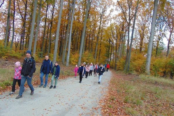 grupa ludzi wędruje przez las