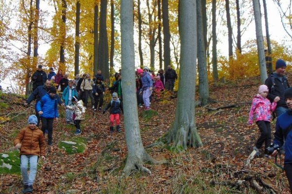 grupa ludzi wędruje przez las