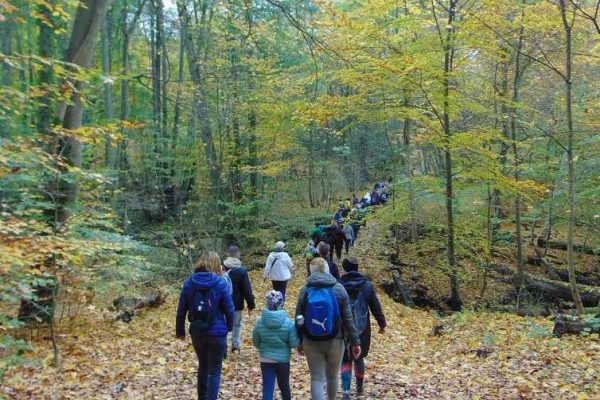 grupa ludzi wędruje przez las