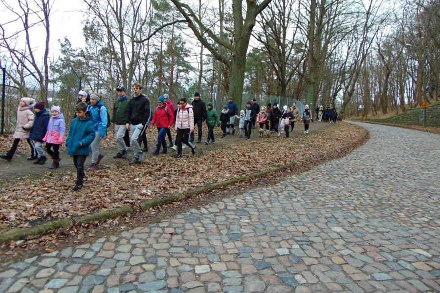 grupa młodzieży wędruje, w tle drzewa