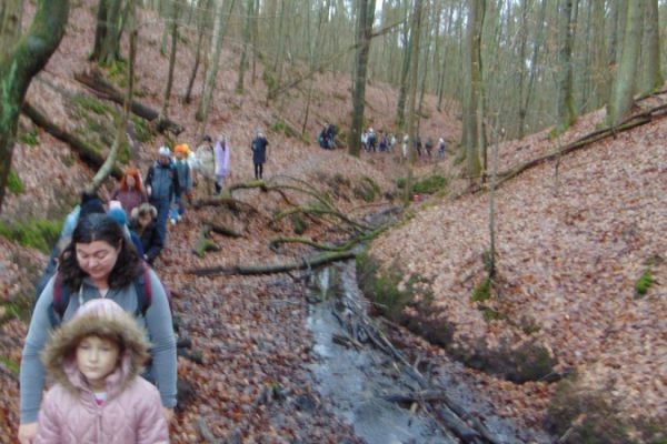 grupa turystów na leśnym szlaku