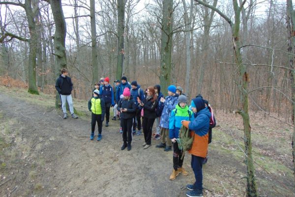 grupa młodzieży wędruje, w tle drzewa