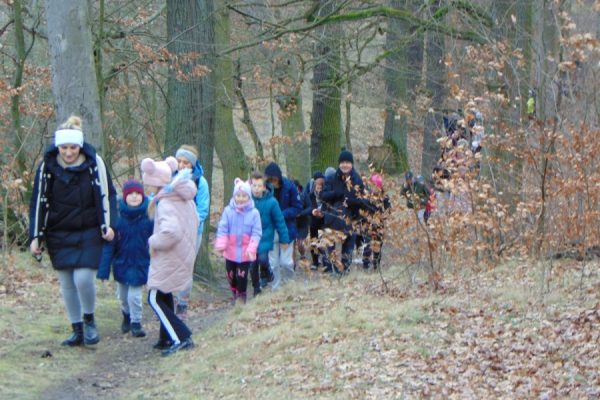 grupa młodzieży wędruje, w tle drzewa