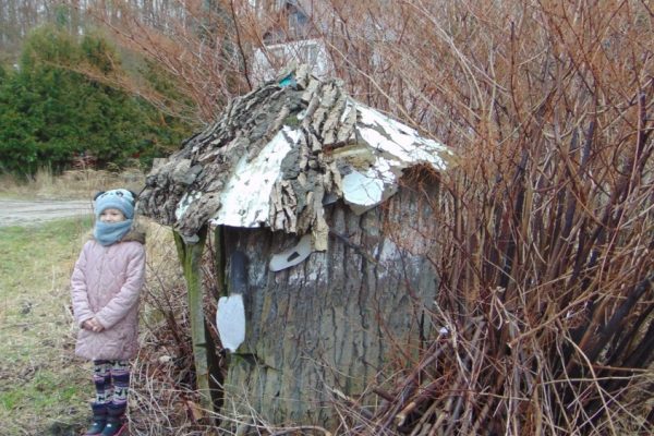 pień drzewa obok stoi dziewczynka