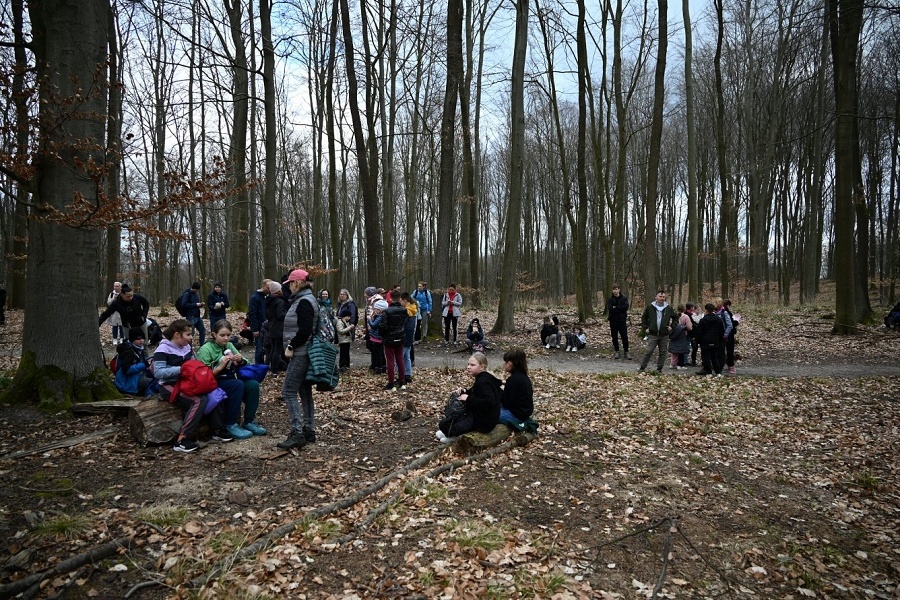 las, przy drzewach odpowywa grupa młodzieży