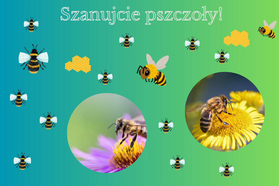 grafika ze zdjęciami pszczól