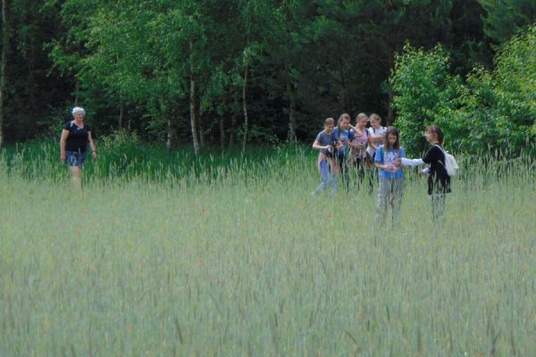 pole zboża, młodzież, las