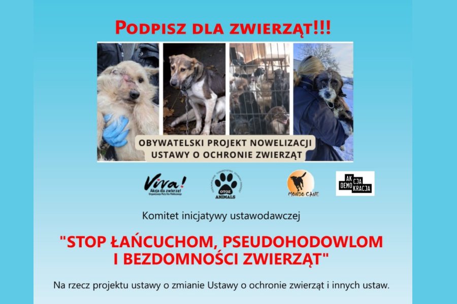 grafika informujaca o zbiorce podpisow