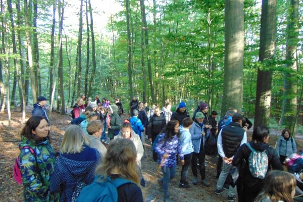 grupa młodzieży idąca przez las