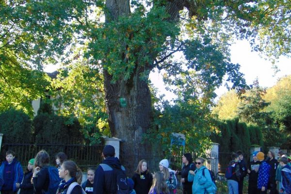 grupa młodzieży idąca przez las