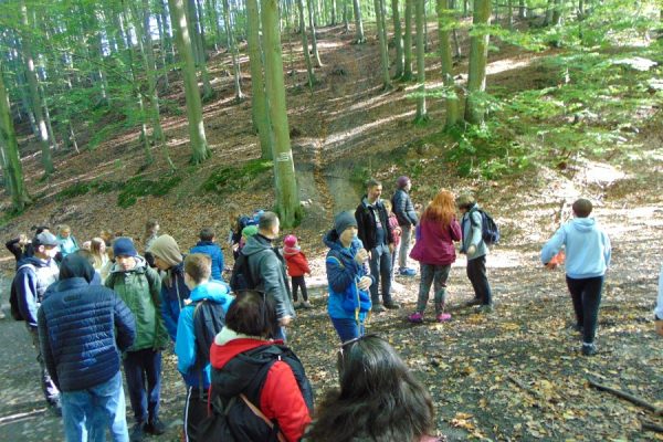 grupa młodzieży idąca przez las