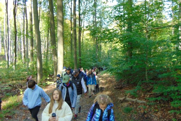 grupa młodzieży idąca przez las