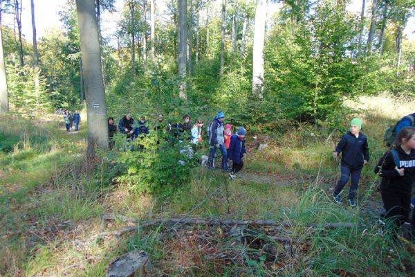 grupa młodzieży idąca przez las