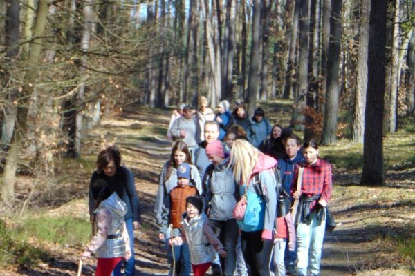 grupa turystów na leśnym szlaku