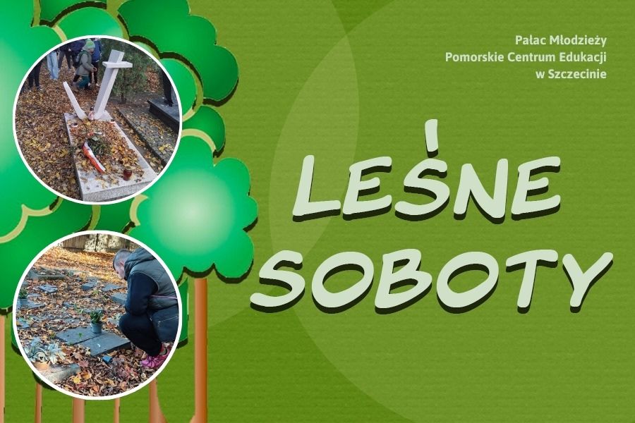 baner z grafiką i zdjęciammi