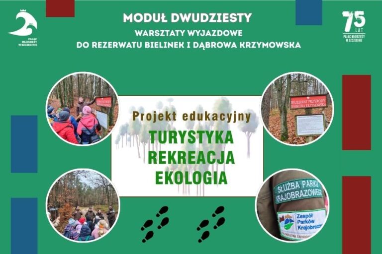 grafika z tytułem projektu