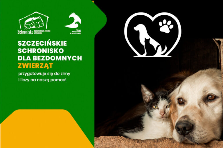 grafika z kotem i psem i nazwą zbiórki