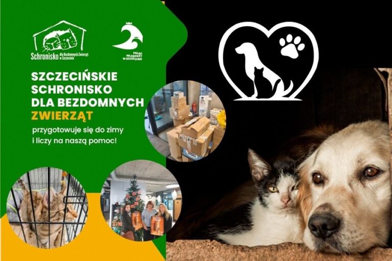 grafika z plakatem zbiorki i zdjeciami