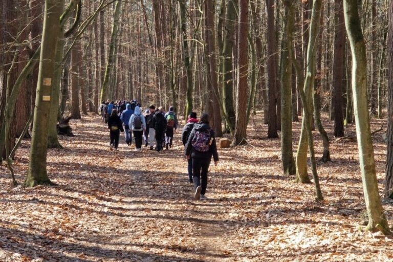 grupa turystów idzie przez las