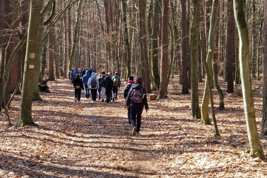 grupa turystów idzie przez las