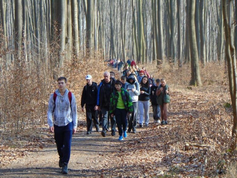grupa młodzieży idzie przez las