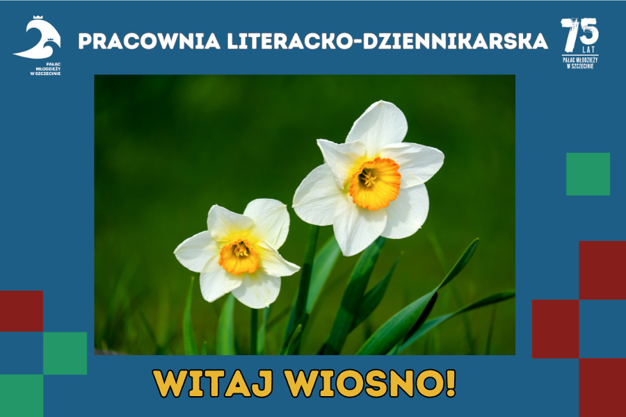 dwa żonkile i napis witaj wiosno