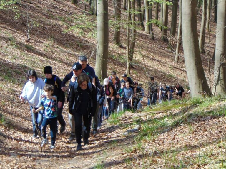 grupa turystów idzie przez las