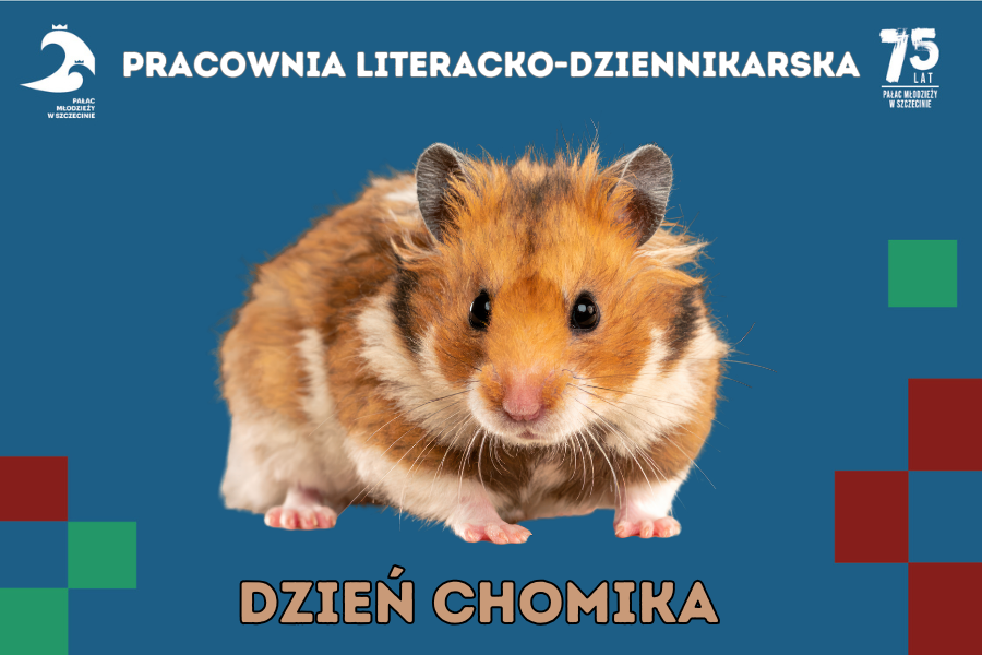 zdjecia chomika