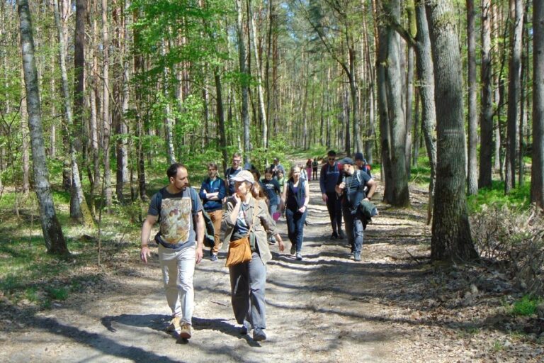 grupa turystów idzie przez las